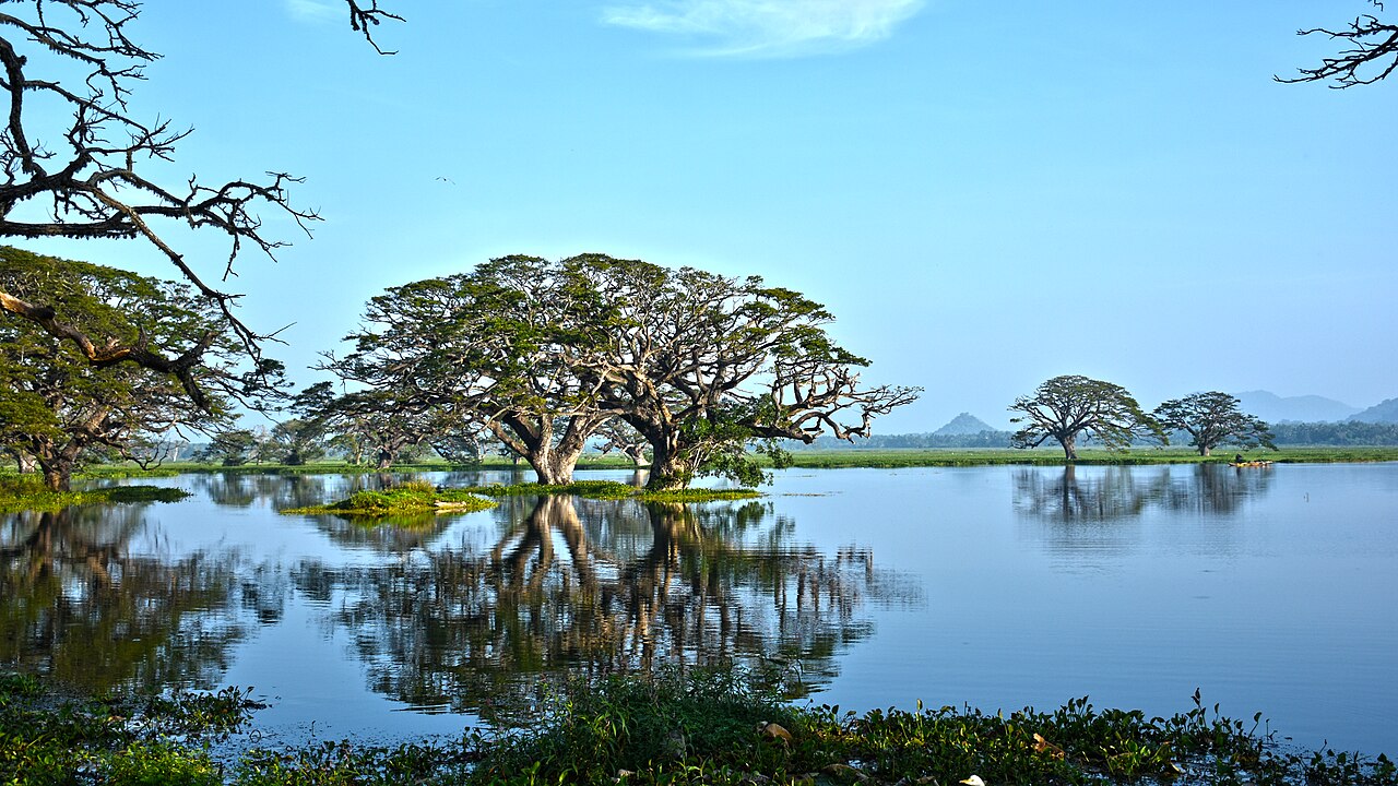 Thissa Lake in Tissamaharama