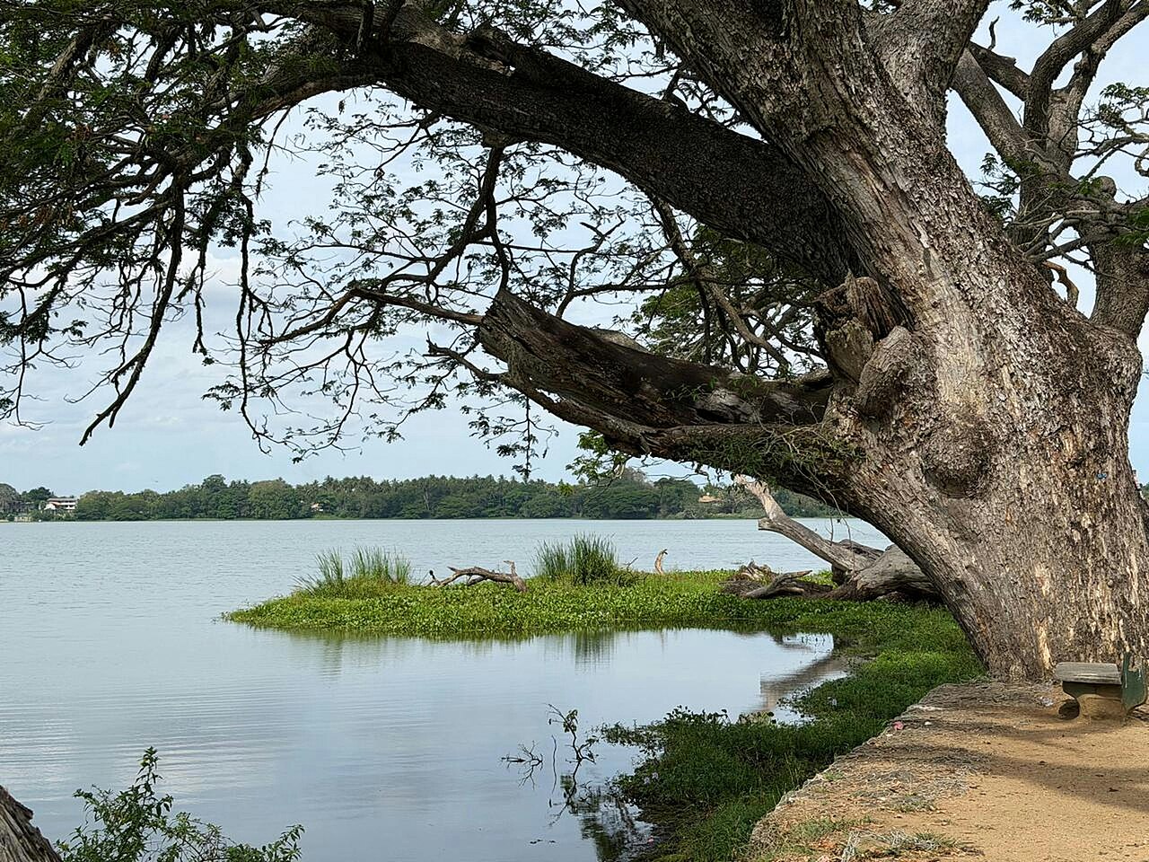 Serene lakeside view in Tissamaharama