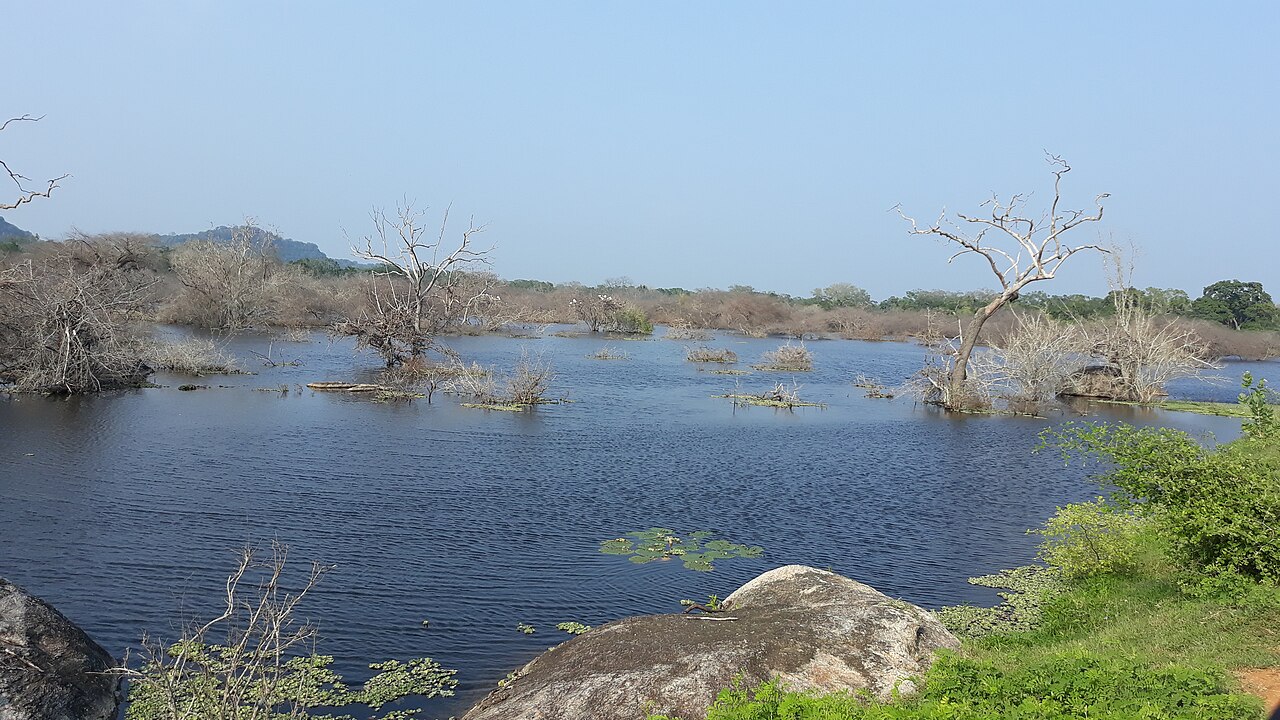 Road through Yala National Park