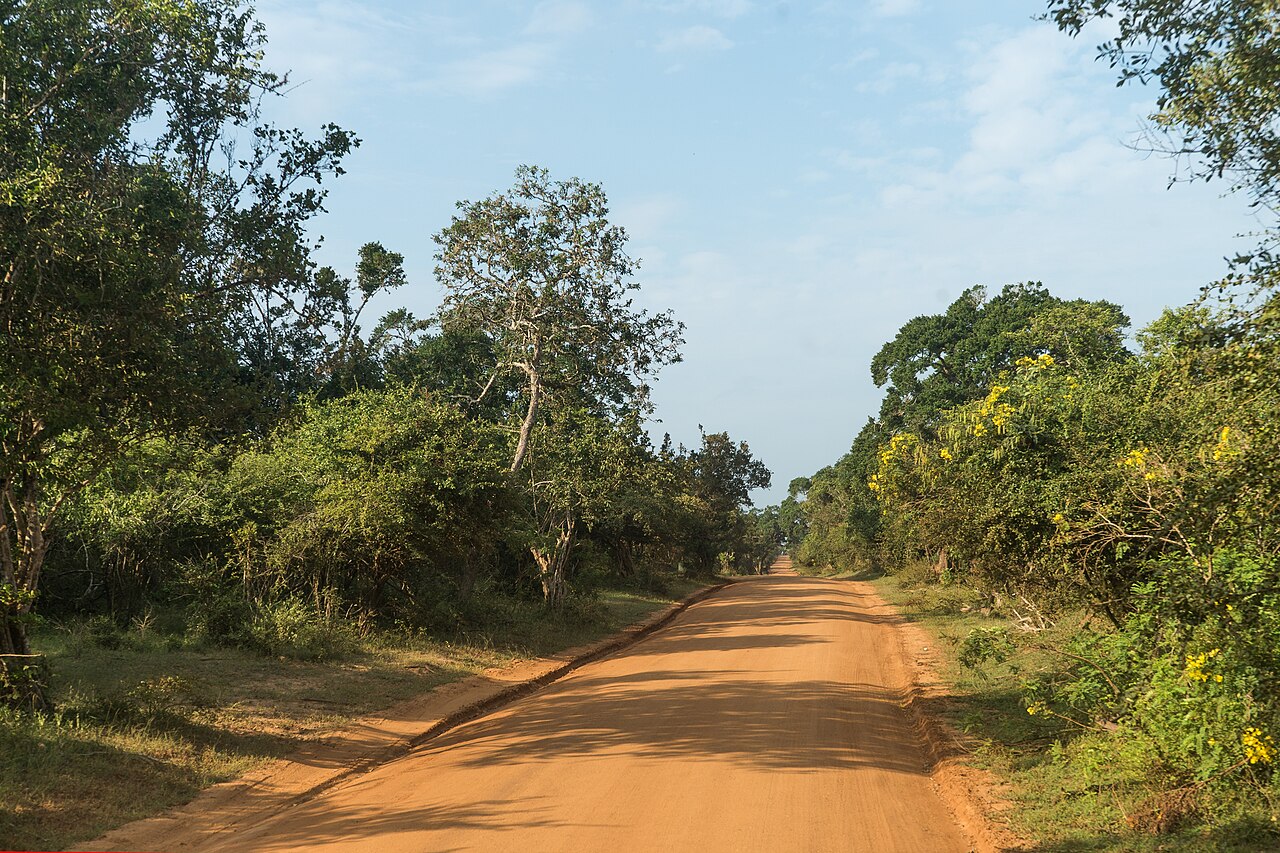 A road in Yala National Park